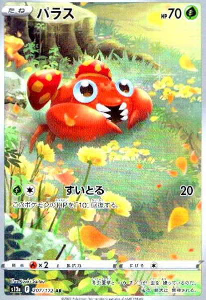 画像1: パラス(207/172 AR) (1)