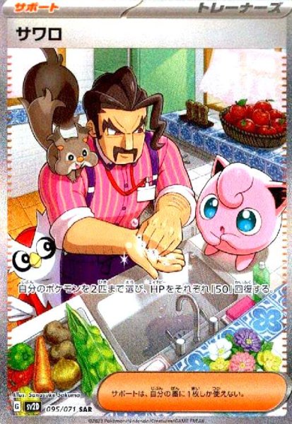 画像1: サワロ(095/071 SAR) (1)