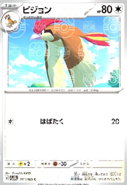 画像1: ピジョン(017/165)(ミラー/マスターボール) (1)