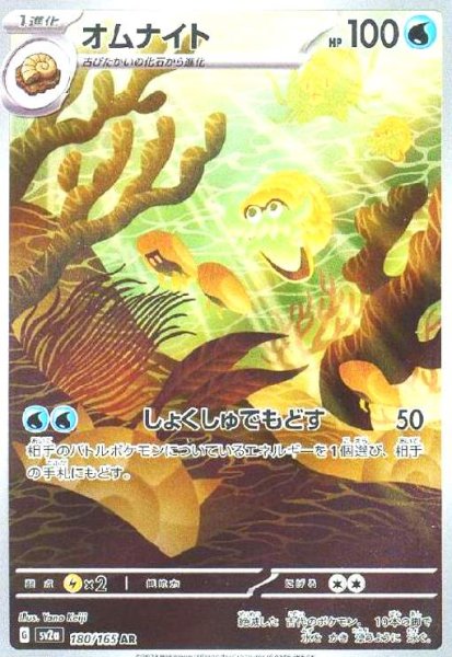 画像1: オムナイト(180/165 AR) (1)