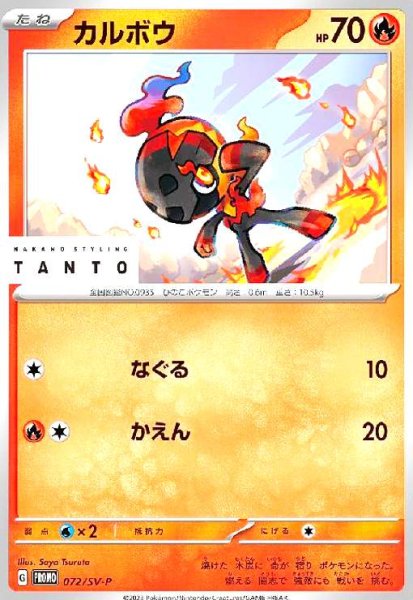 画像1: カルボウ(072/SV-P) (1)