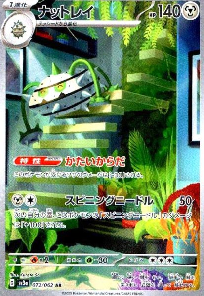 画像1: ナットレイ(072/062 AR) (1)