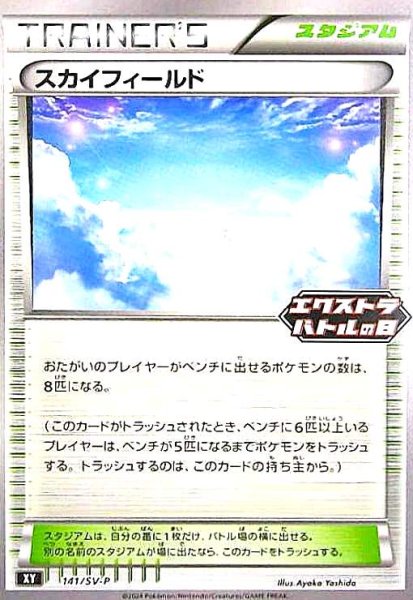 画像1: スカイフィールド(141/SV-P) (1)