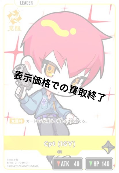 画像1: Cpt(IGV)(LR)(BP05-011/080) (1)