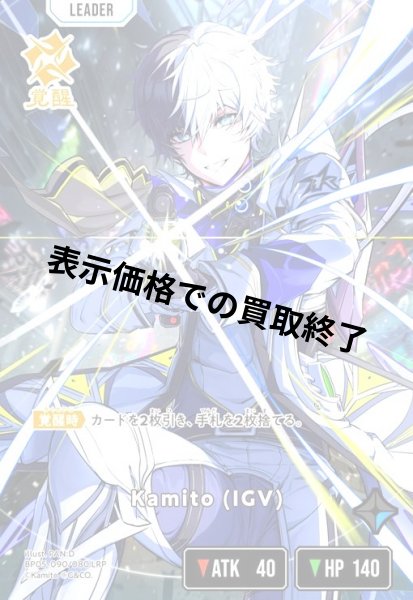画像1: Kamito(IGV)(LRP)(BP05-090/080) (1)