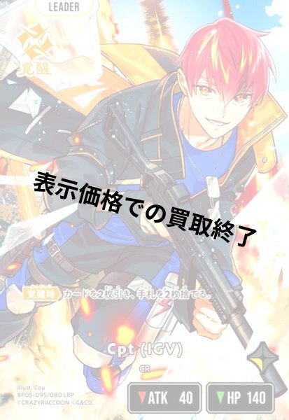 画像1: Cpt(IGV)(LRP)(BP05-095/080) (1)